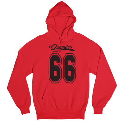 Quamtica 66 hoodie